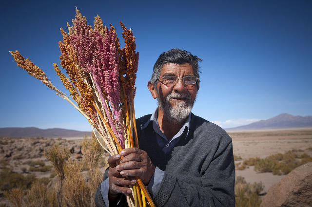 Ein alter Mann mit fröhlichem Gesichtsausdruck hält gebündelte Getreidehalme. Im Hintergrund bolivianische Landschaft. Bildnachweis: GEPA - The Fair Trade Company / C. Nusch